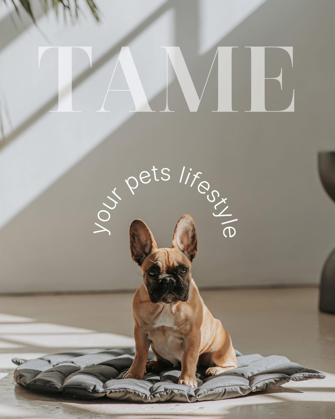 Tame Pet App